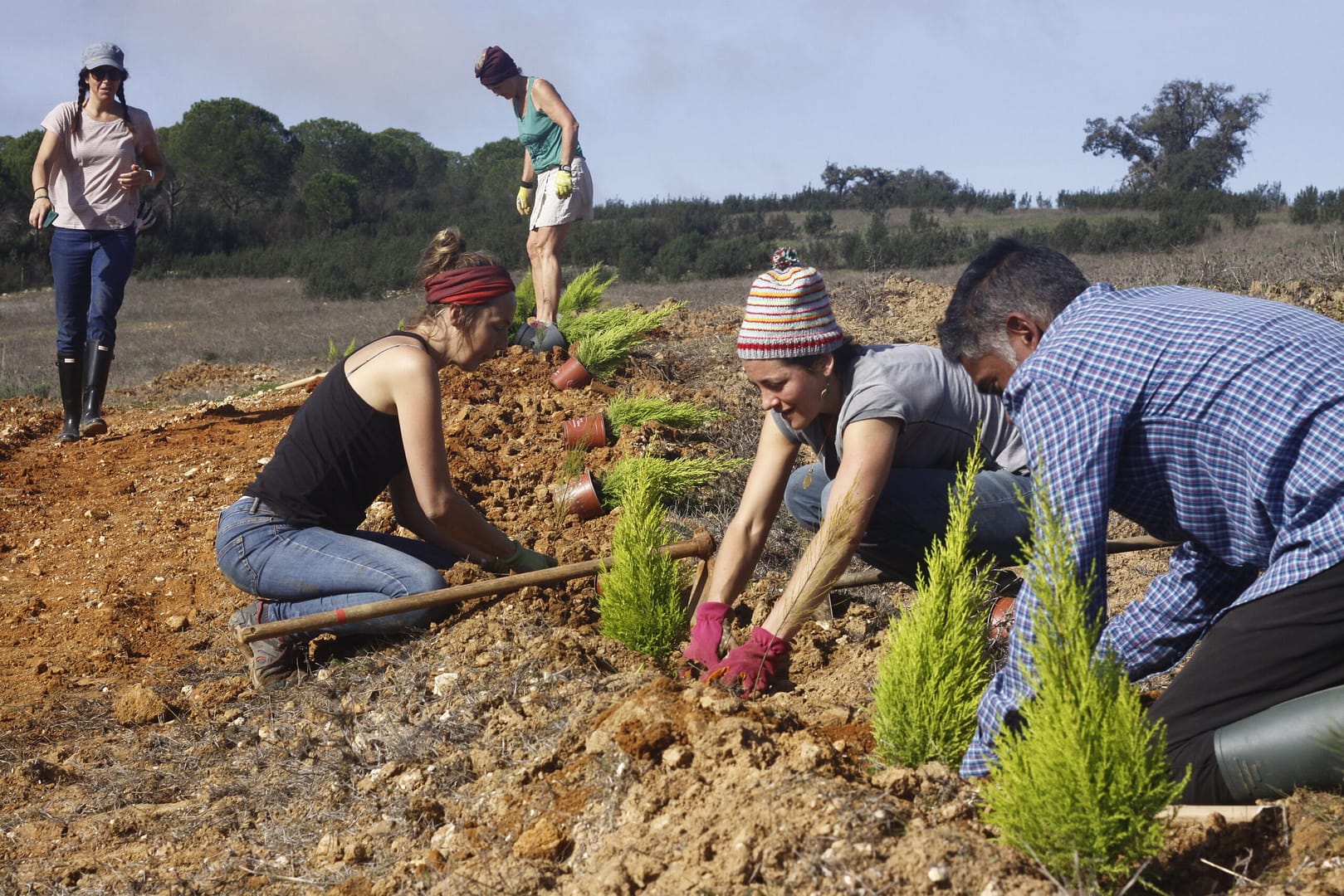 Support the Terra Livha project in Portugal