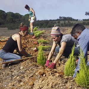 Soutenir le projet Terra Livha au Portugal